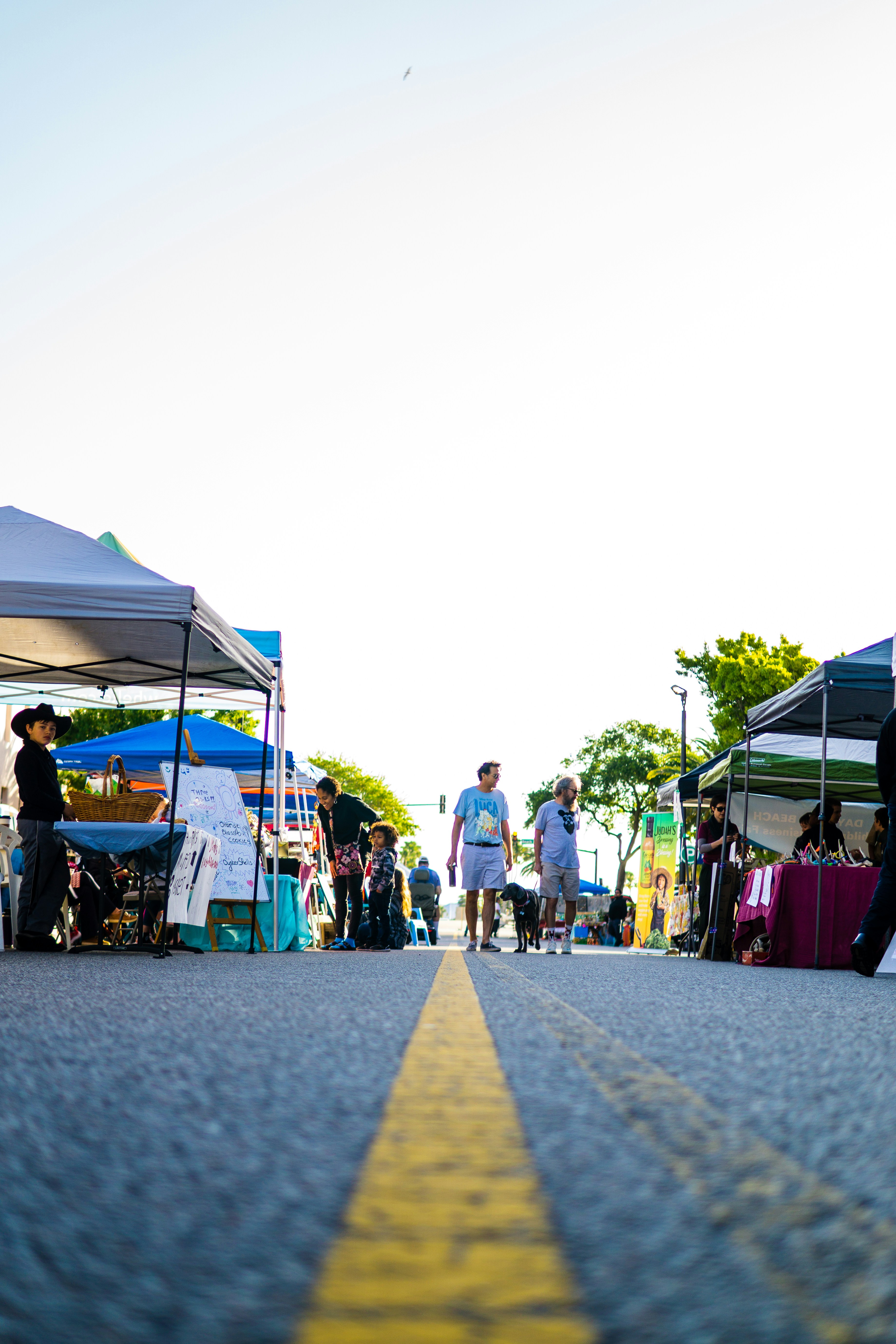 Local Farmer's Markets in Kingsport, Bristol & Abingdon